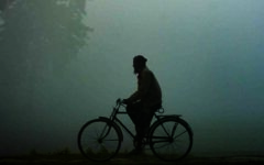 Minimum temperature falls by 1°C, mild cold wave persists