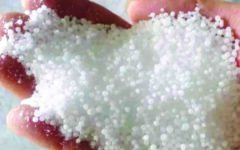 Govt to procure 55,000 MTs fertilizer 