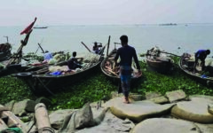Govt bans fishing in Meghna for two months to protect jatka