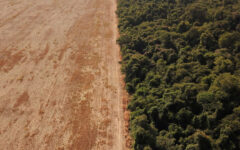 Brazil’s new climate plan targets deforestation