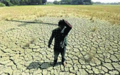 Warming El Nino may return later this year: UN