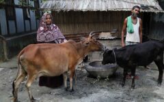 BDT 530 million self-funded initiative for social welfare and agriculture has been announced by BRAC