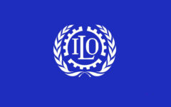 Lifelong learning must become a strategic policy priority: ILO